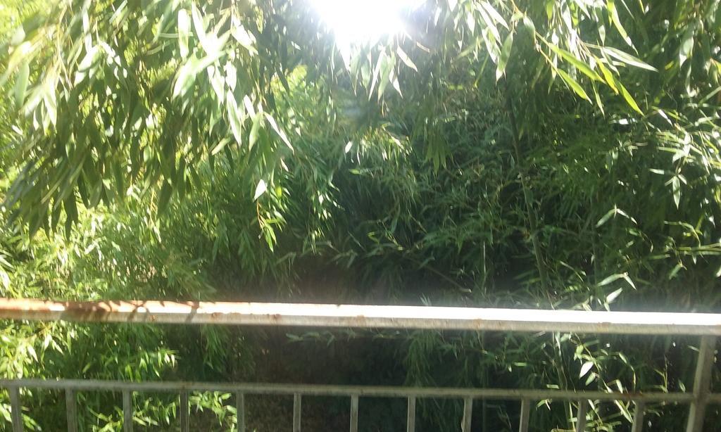 CouffyLe Moulin Du Modon Proche Du Zooparc De Beauval住宿加早餐旅馆 外观 照片