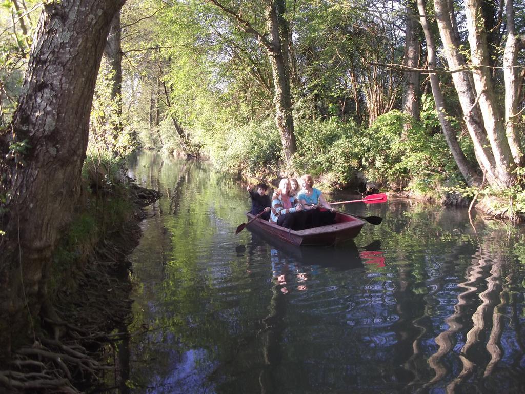 CouffyLe Moulin Du Modon Proche Du Zooparc De Beauval住宿加早餐旅馆 外观 照片