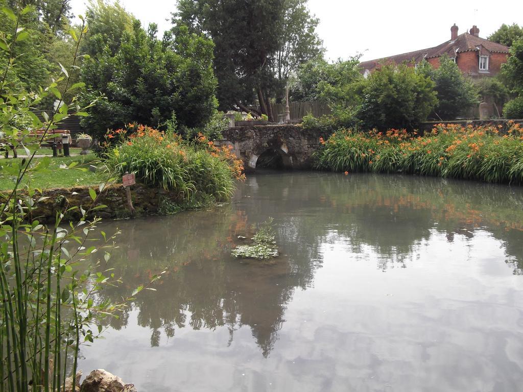 CouffyLe Moulin Du Modon Proche Du Zooparc De Beauval住宿加早餐旅馆 外观 照片
